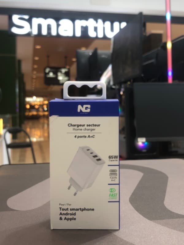 Ng Electro Prise 65W Ng-2AC08